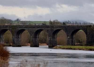 Large railway bridge across the river Barrow in a grey day