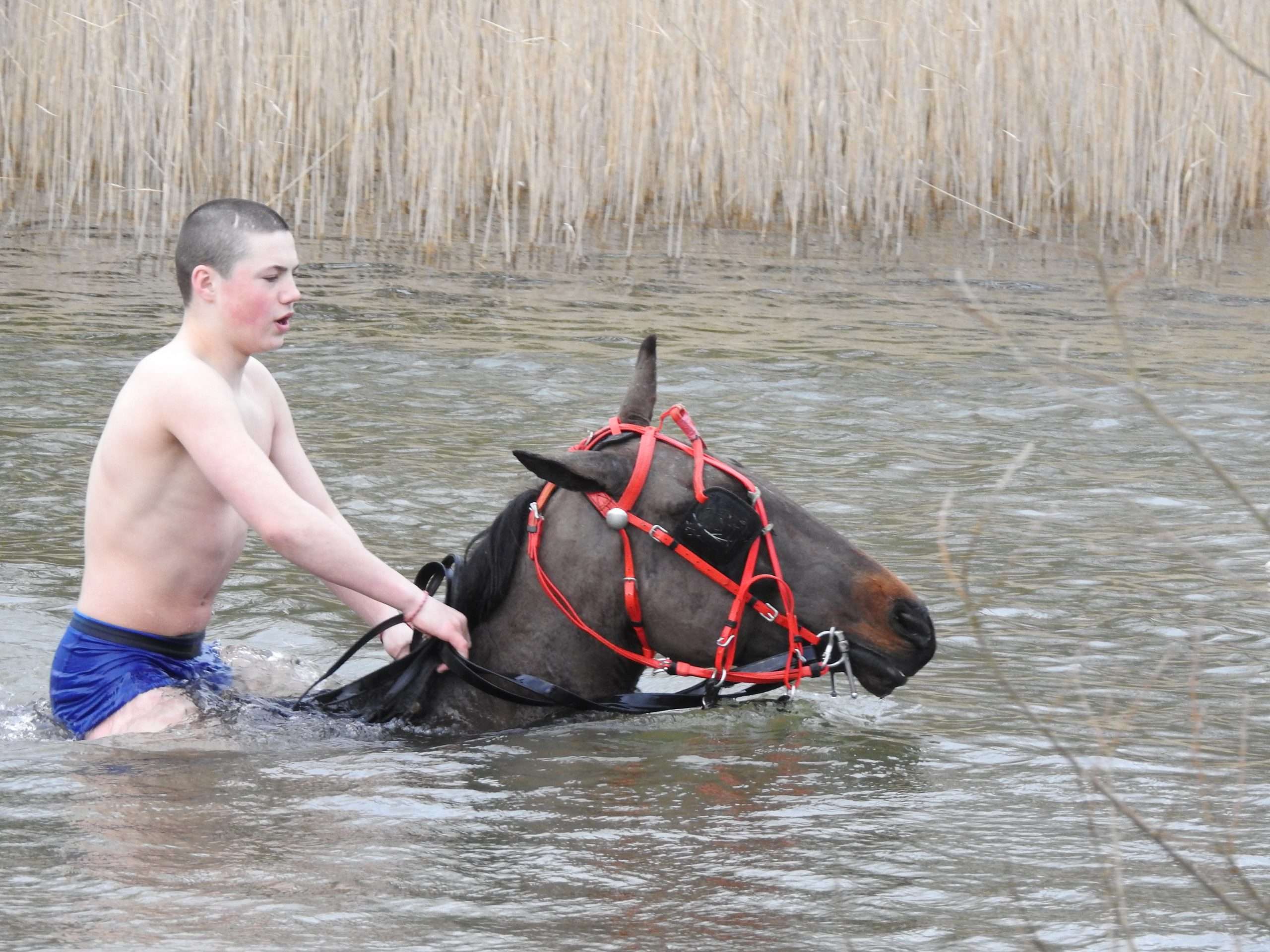 Mincéir Men and Swimming Horses