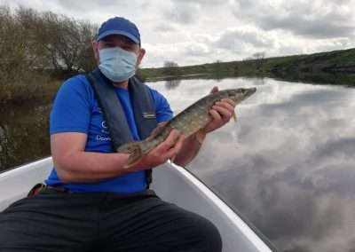 Clifford Reid about to release a Pike fish off a boat on the river Barrow in Ireland.