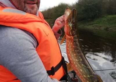 Mark Day holding a Pike fish over the water of river Barrow, Ireland.
