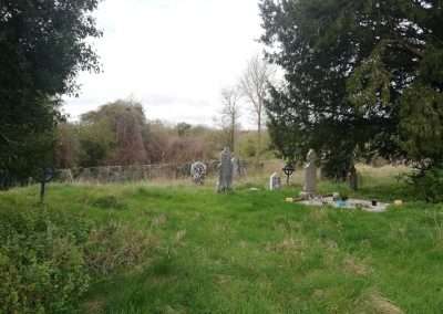 Headstones and Yew trees in Tubberrarra Graveyard at Bert, Athy, County Kildare, Ireland