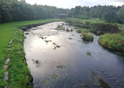 View upstream of the river Nore at Castletown, county Laois