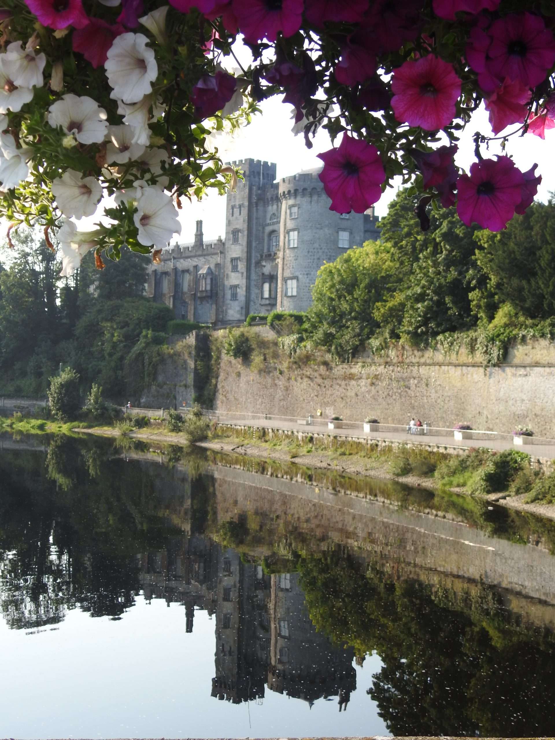 View of Kilkenny castle reflected in the river Nore and framed by white and pink Petunia flowers
