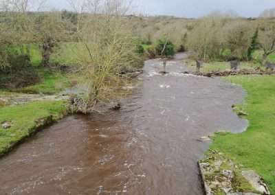 River Dinan in flood at Dysert bridge, Kilkenny, Ireland