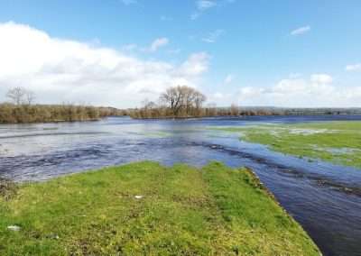 A flooded field on banks of River Nore at Three Castles, Kilkenny, Ireland