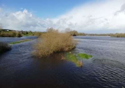 Fields under water at the River Nore at Three Castles, Kilkenny, Ireland