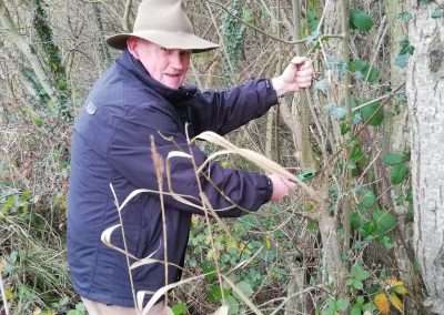 Martin Reid harvesting sticks