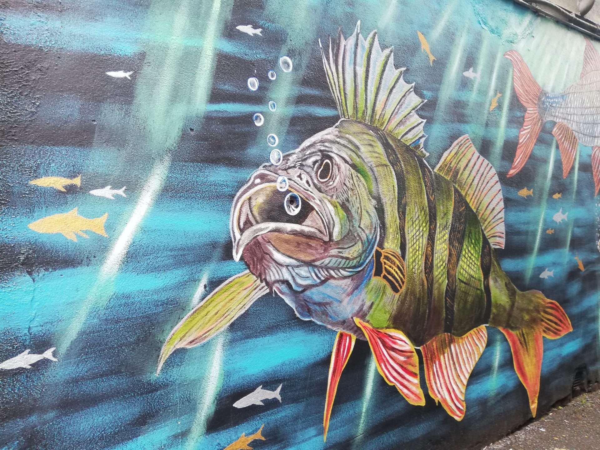 Mural of a Perch at Garter Lane in Athy