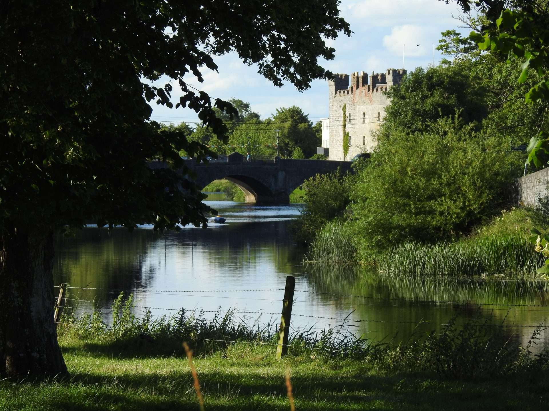 Whites Castle, Athy