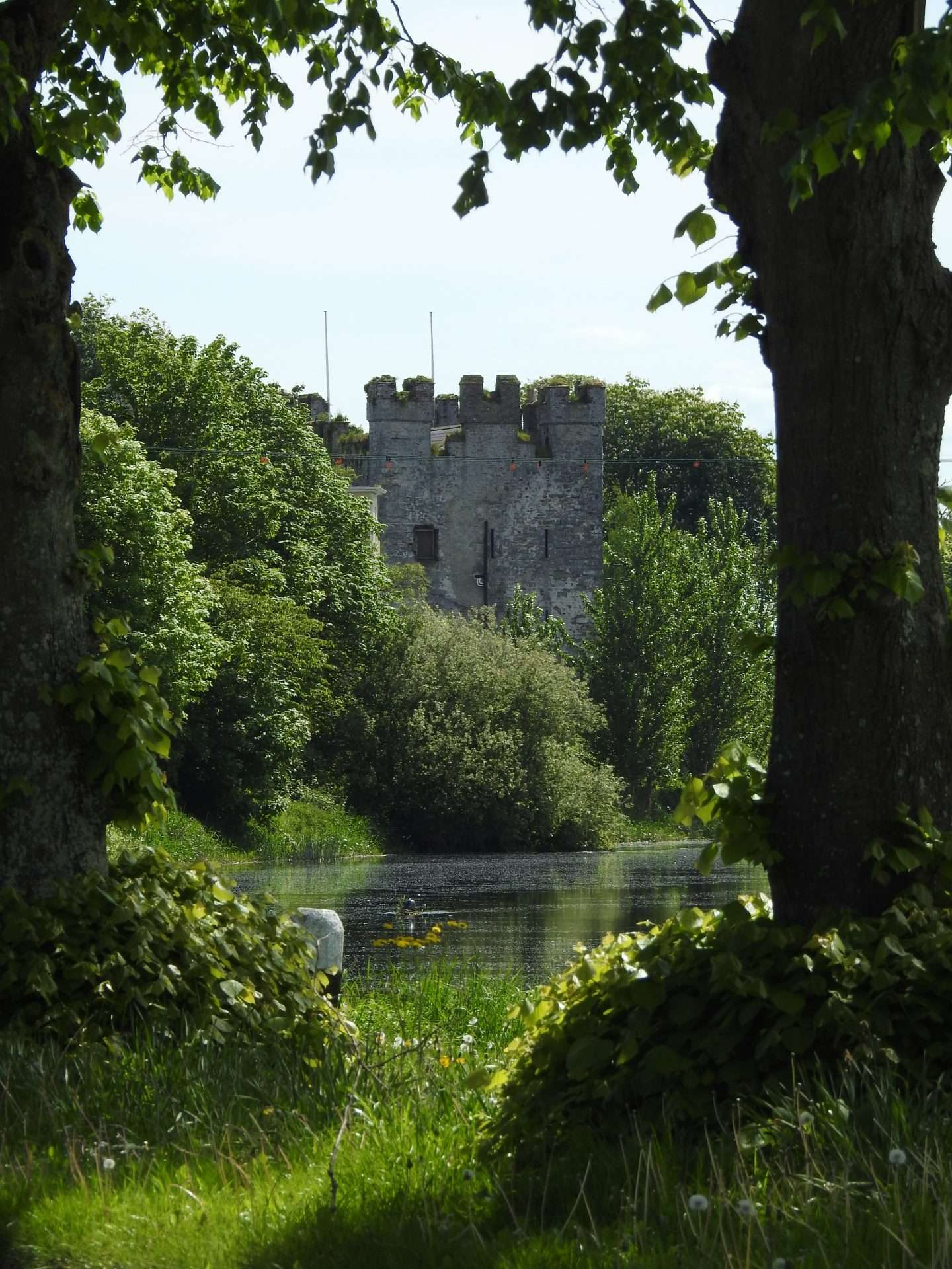 Whites Castle, Athy