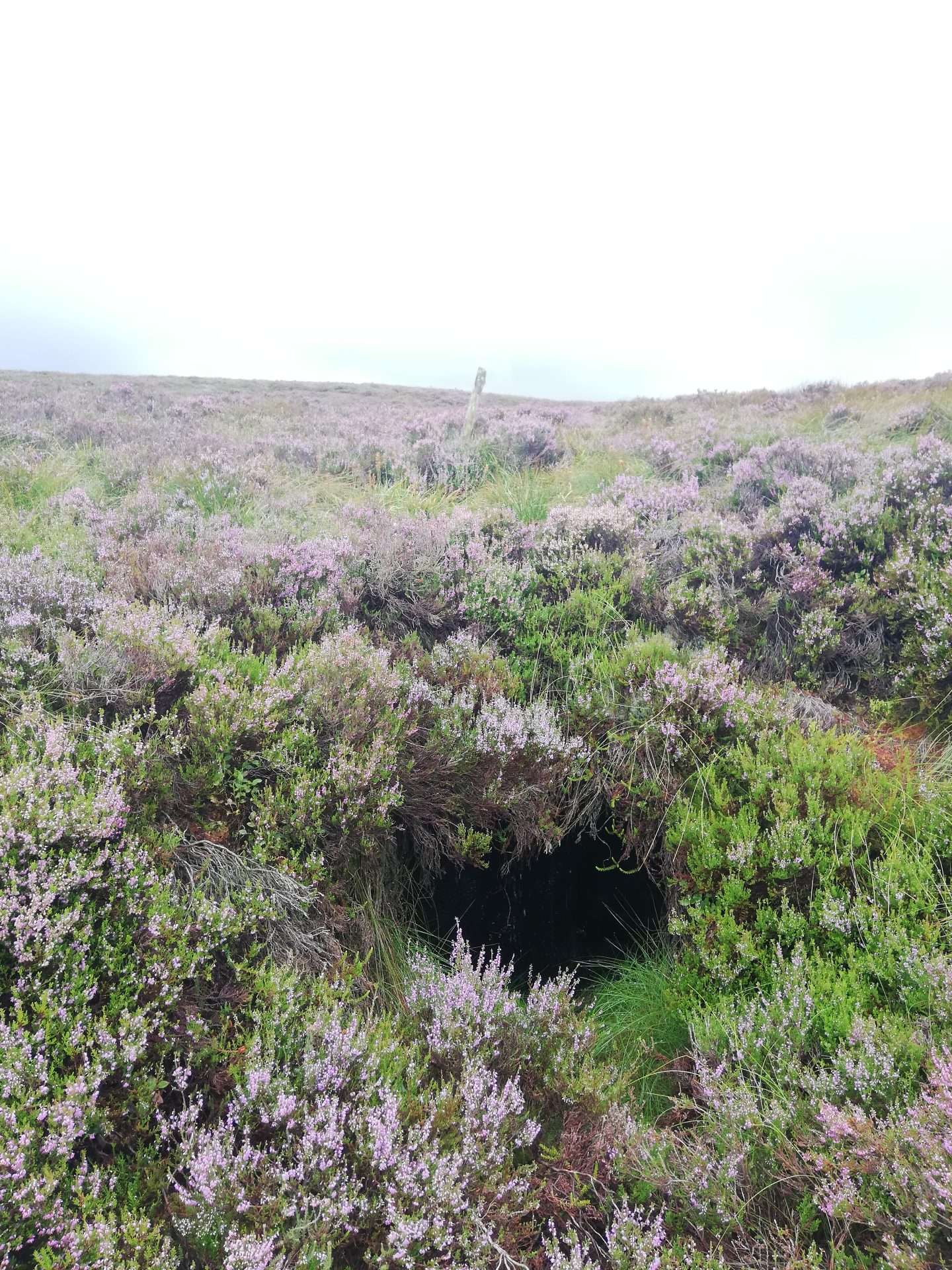 Source of the Barrow River