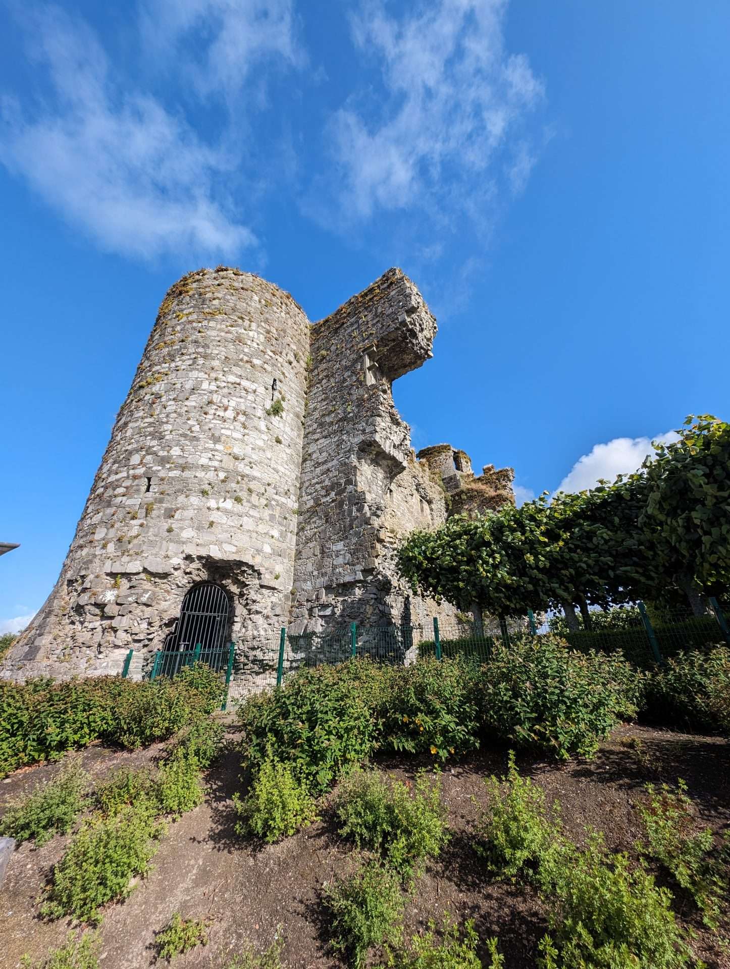 Carlow Castle