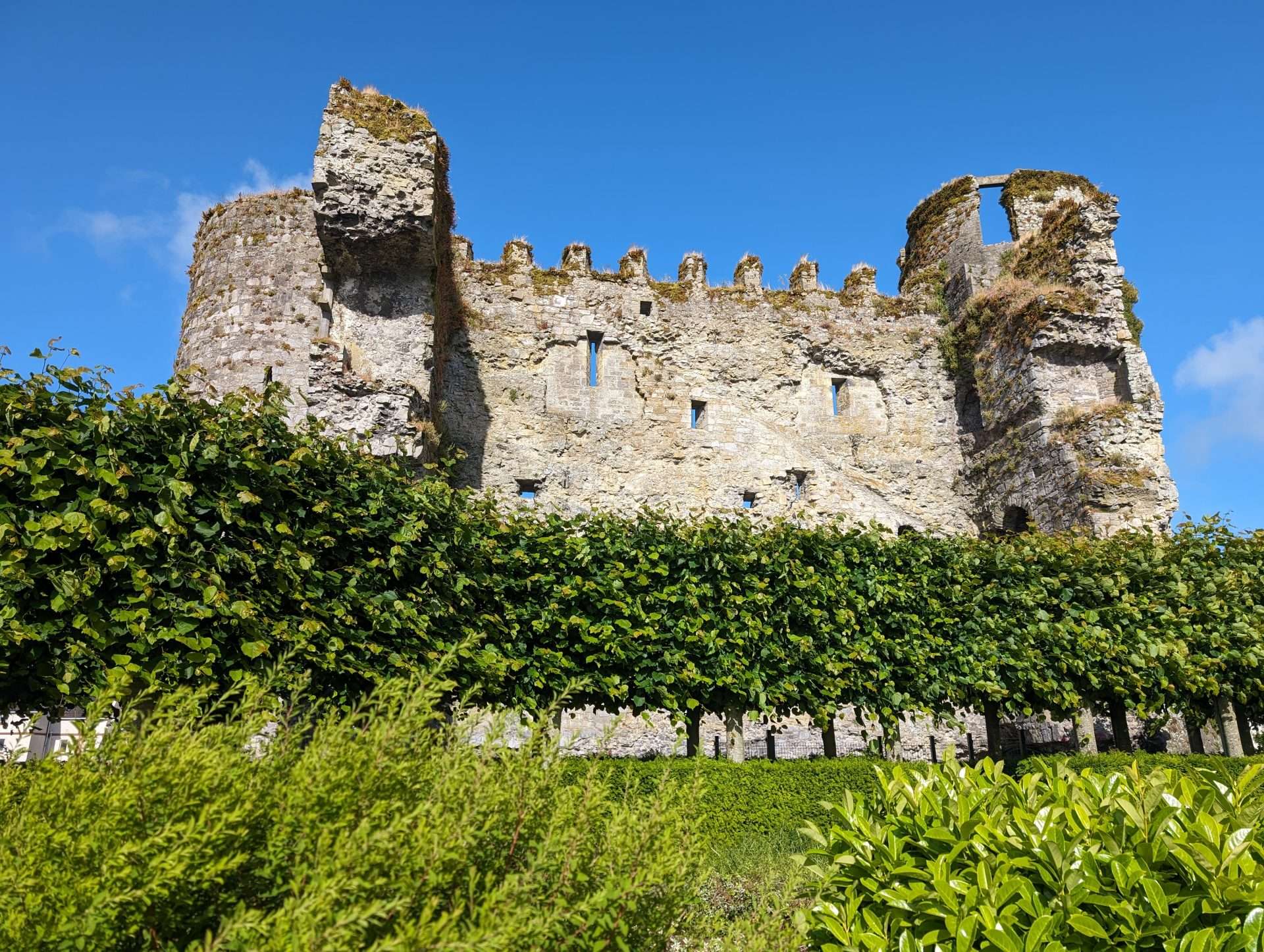 Carlow Castle